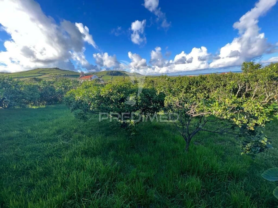 Terreno para Venda em Fonte do Bastardo Foto 14