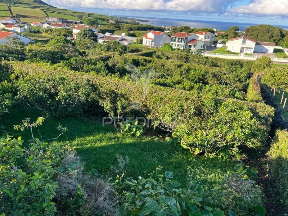 Terreno para Venda em Fonte do Bastardo Foto 7