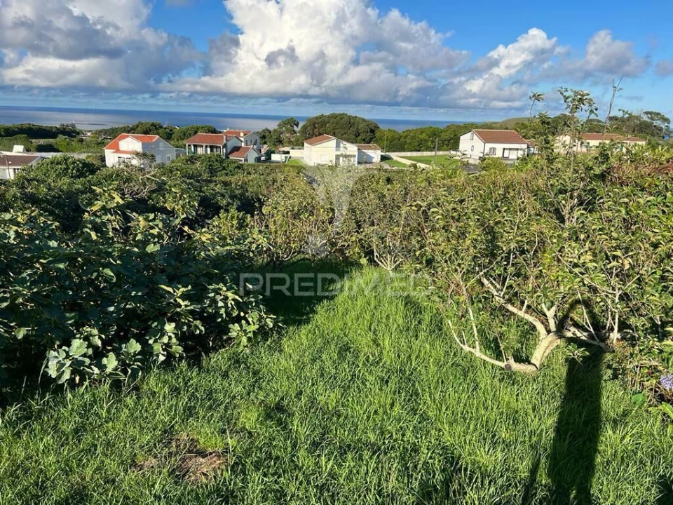 Terreno para Venda em Fonte do Bastardo Foto 20