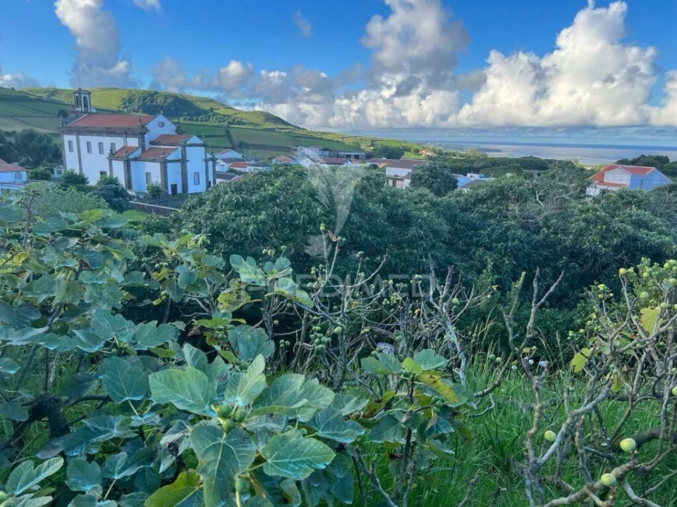 Terreno para Venda em Fonte do Bastardo Foto 4