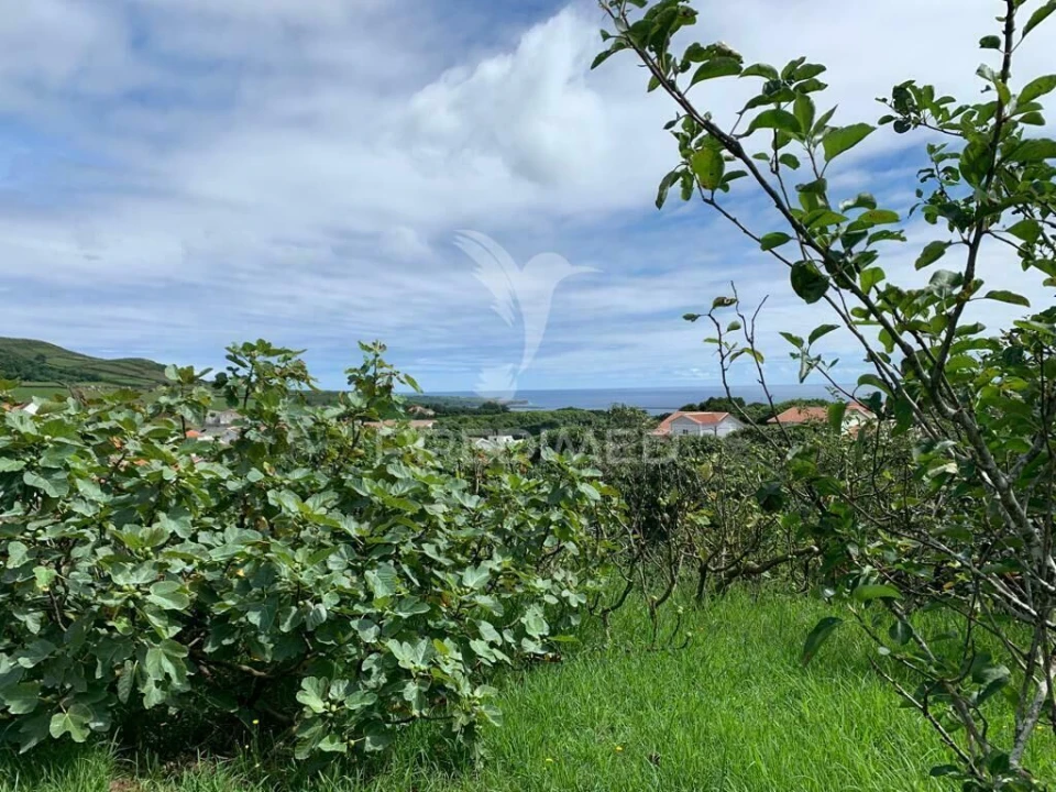 Terreno para Venda em Fonte do Bastardo Foto 6