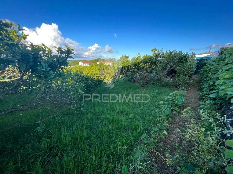 Terreno para Venda em Fonte do Bastardo Foto 15