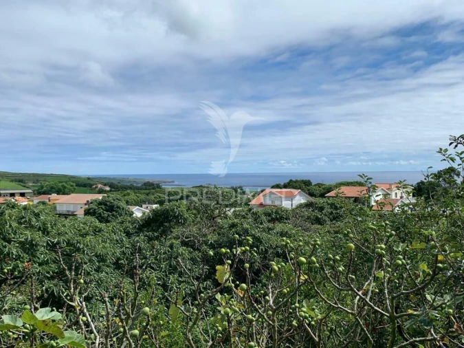 Terreno para Venda em Fonte do Bastardo Foto 3