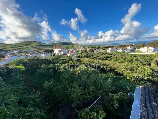 Terreno para Venda em Fonte do Bastardo Foto 16