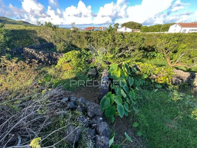 Terreno para Venda em Fonte do Bastardo Foto 12
