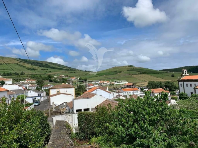 Terreno para Venda em Fonte do Bastardo Foto 17