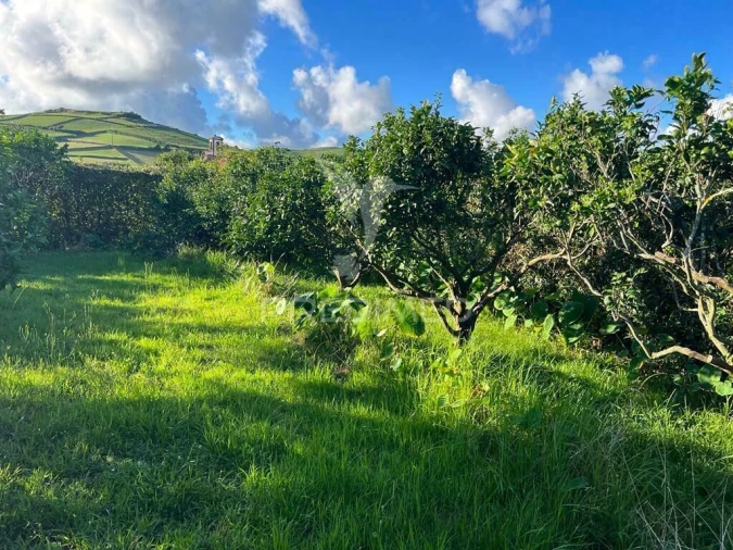 Terreno para Venda em Fonte do Bastardo Foto 18
