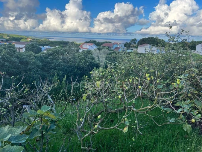 Terreno para Venda em Fonte do Bastardo Foto 5