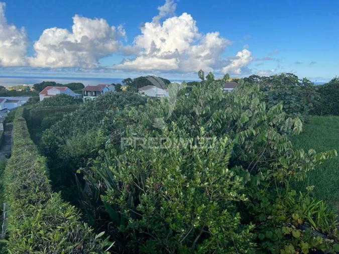 Terreno para Venda em Fonte do Bastardo Foto 11