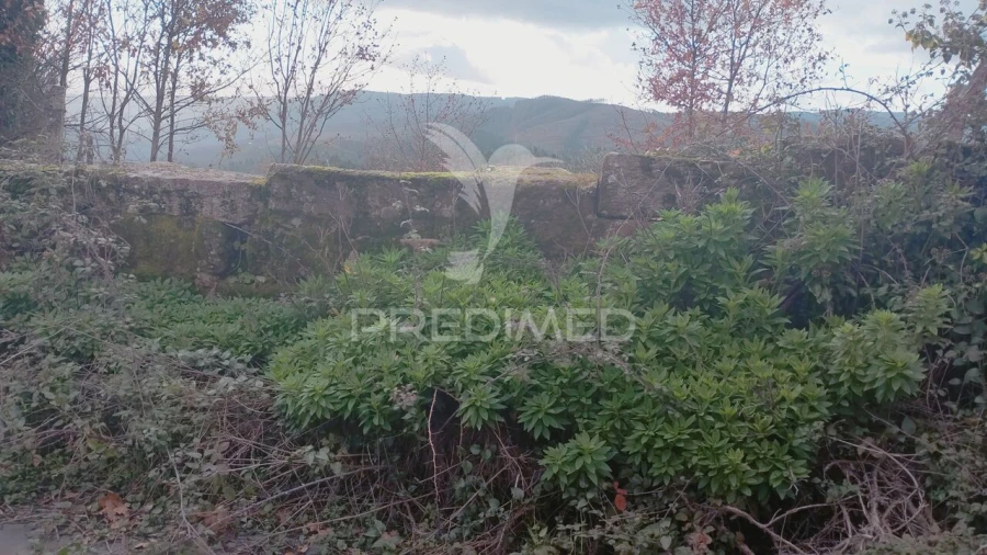 Moradia T3 para Venda em Alvarenga Foto 32