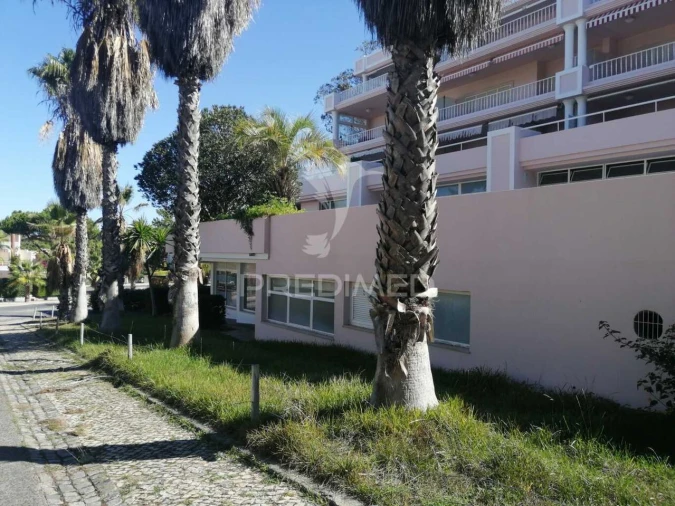 Loja para Venda em Carvalhal Foto 10