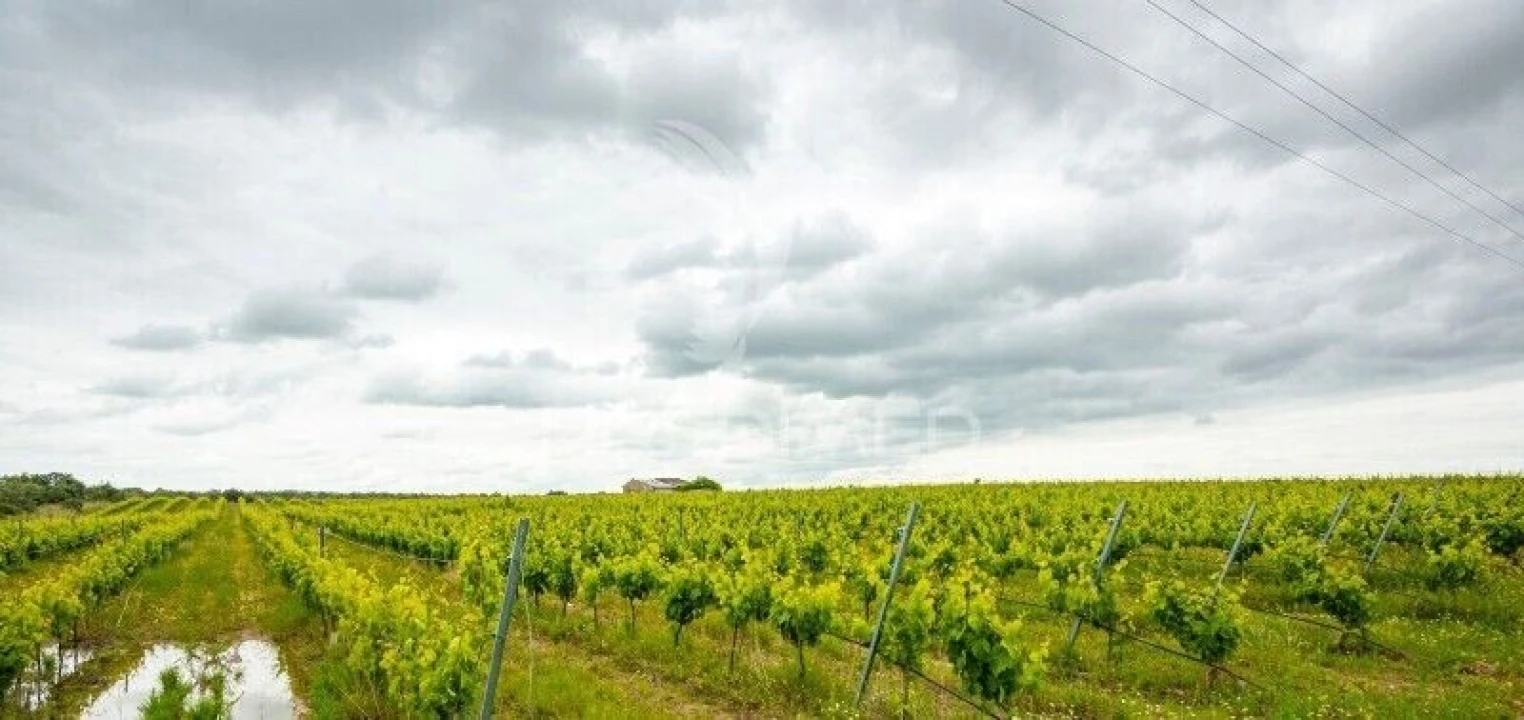 Terreno para Venda em Corval Foto 1