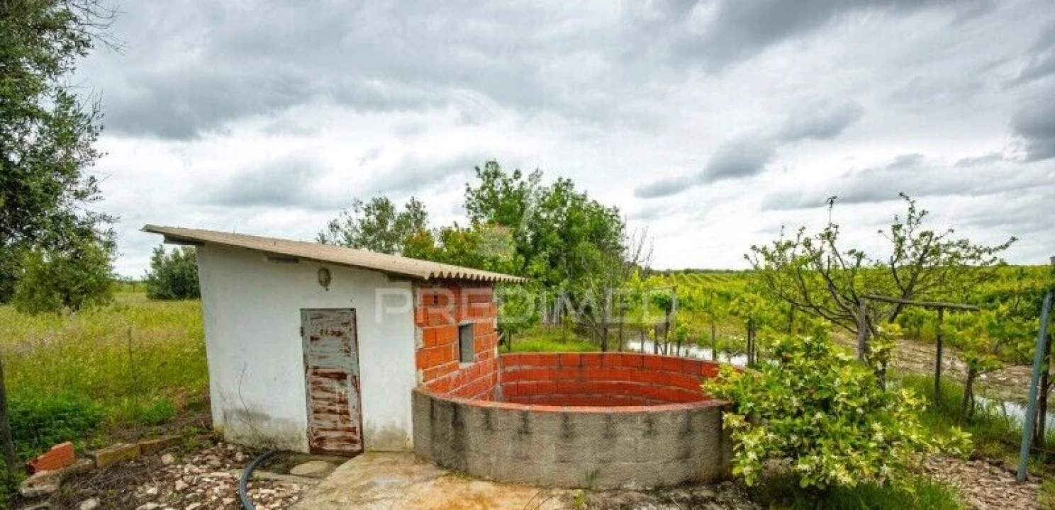 Terreno para Venda em Corval Foto 2