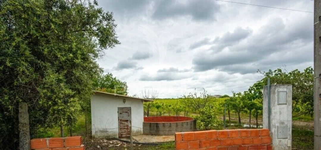 Terreno para Venda em Corval Foto 7