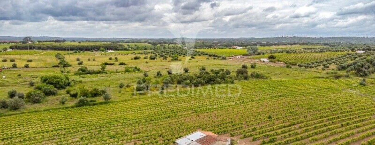 Terreno para Venda em Corval Foto 10