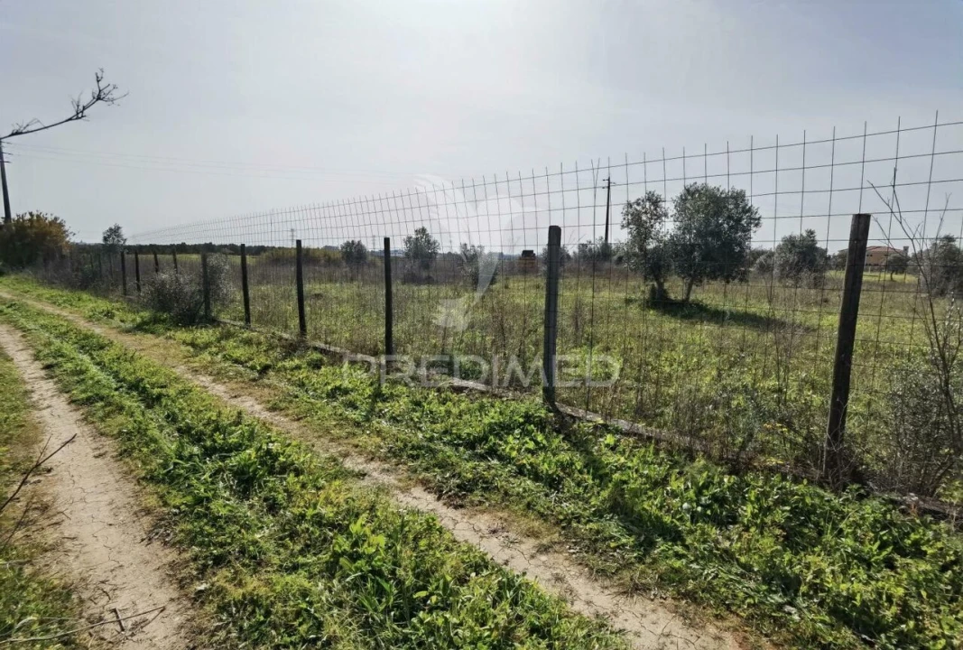 Terreno para Venda em Romeira e Várzea Foto 5