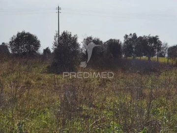 Terreno para Venda em Romeira e Várzea