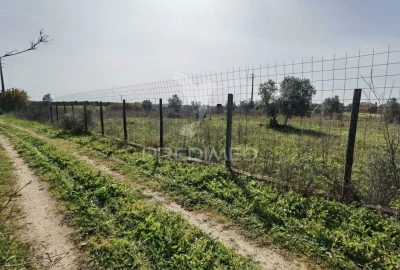 Terreno para Venda em Romeira e Várzea