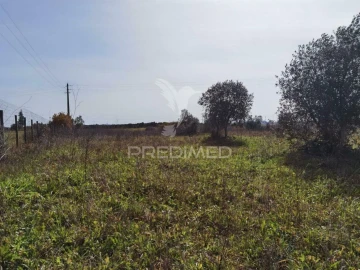 Terreno para Venda em Romeira e Várzea