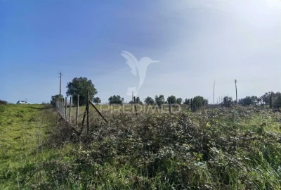 Terreno para Venda em Romeira e Várzea