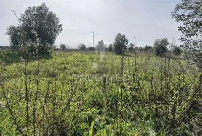 Terreno para Venda em Romeira e Várzea