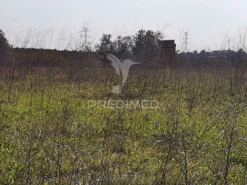 Terreno para Venda em Romeira e Várzea
