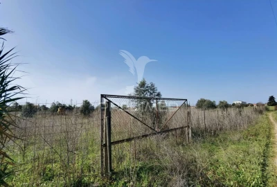 Terreno para Venda em Romeira e Várzea
