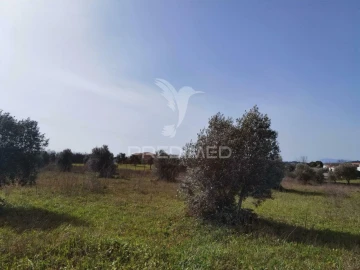 Terreno para Venda em Romeira e Várzea