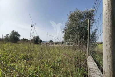 Terreno para Venda em Romeira e Várzea