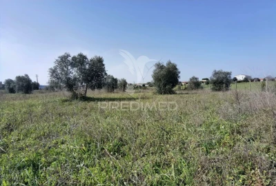 Terreno para Venda em Romeira e Várzea