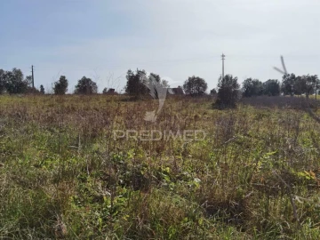 Terreno para Venda em Romeira e Várzea