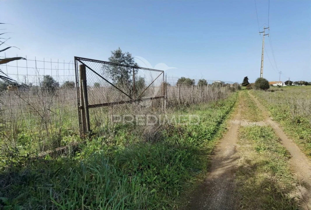 Terreno para Venda em Romeira e Várzea Foto 2