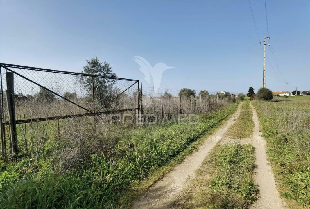 Terreno para Venda em Romeira e Várzea Foto 1