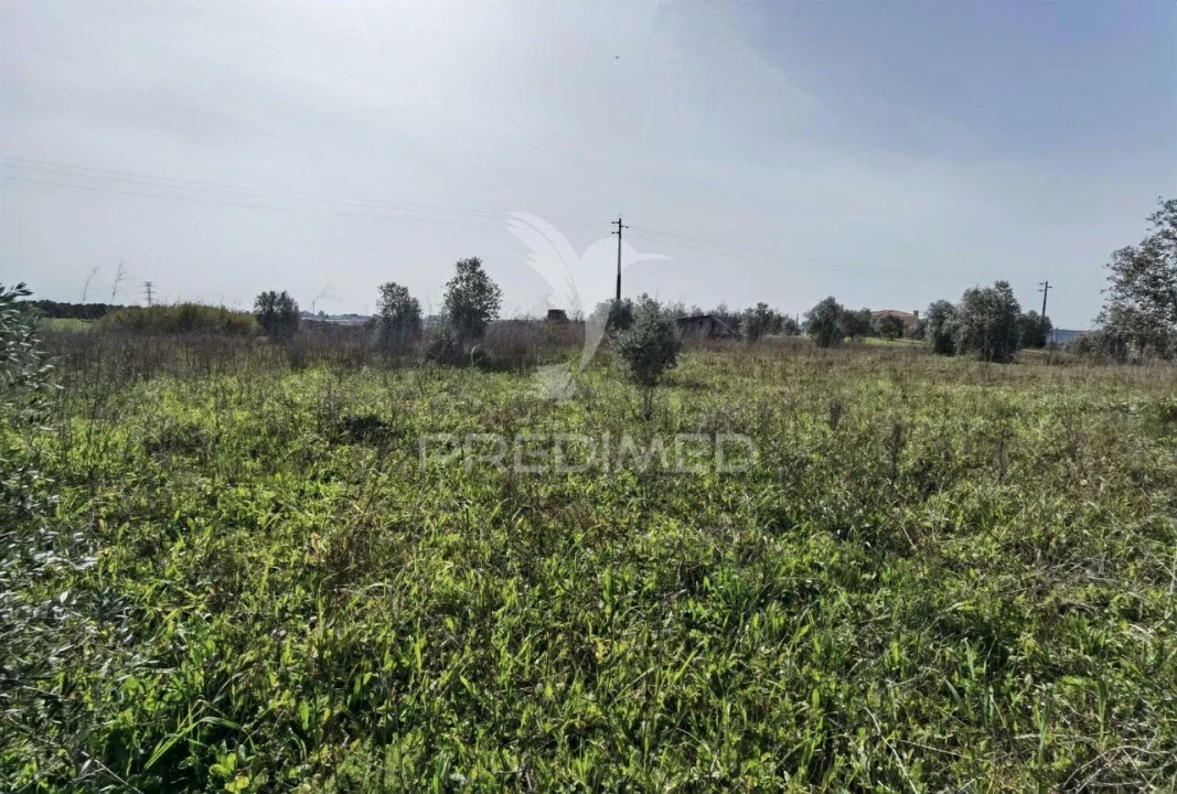 Terreno para Venda em Romeira e Várzea Foto 14