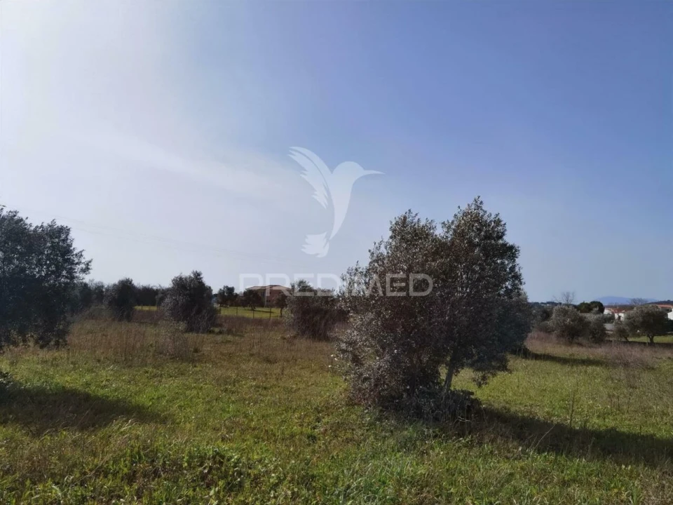 Terreno para Venda em Romeira e Várzea Foto 18