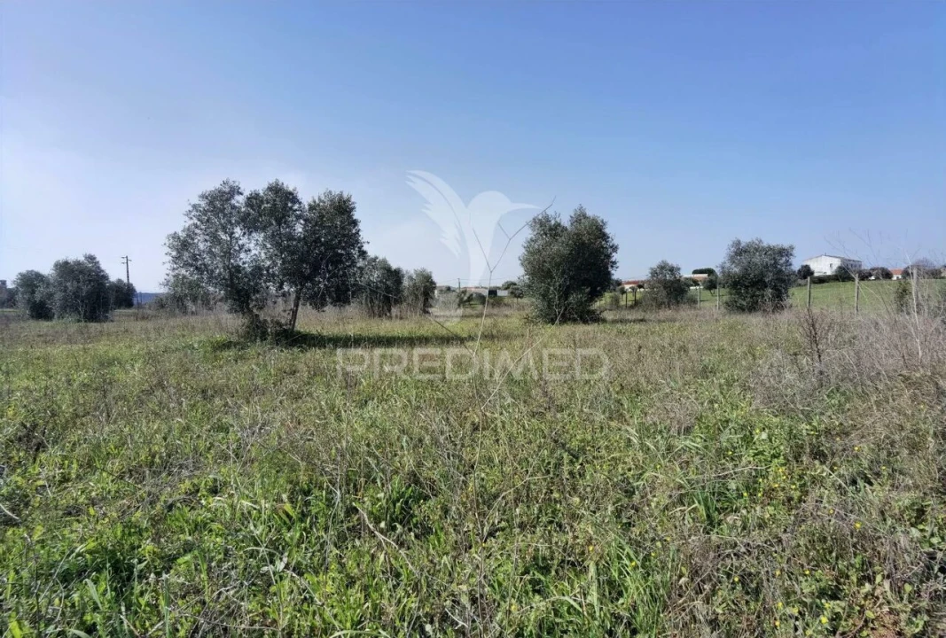 Terreno para Venda em Romeira e Várzea Foto 15