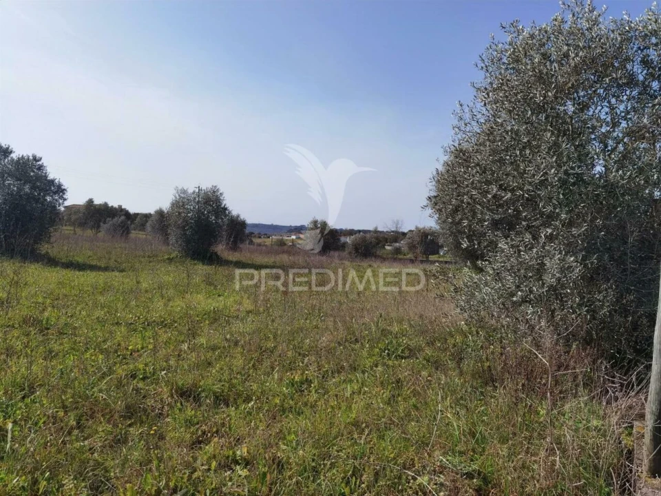 Terreno para Venda em Romeira e Várzea Foto 11