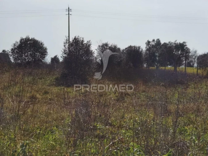 Terreno para Venda em Romeira e Várzea Foto 13