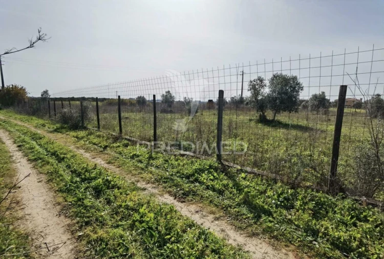 Terreno para Venda em Romeira e Várzea Foto 5