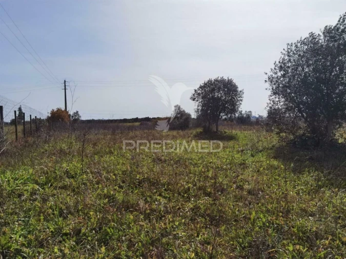 Terreno para Venda em Romeira e Várzea Foto 10
