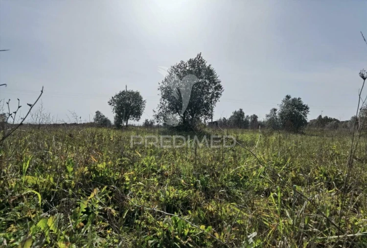 Terreno para Venda em Romeira e Várzea Foto 17