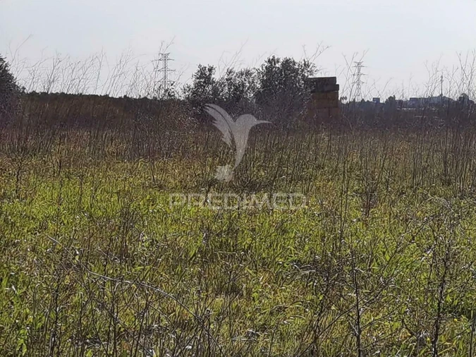 Terreno para Venda em Romeira e Várzea Foto 19