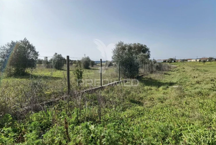 Terreno para Venda em Romeira e Várzea Foto 9
