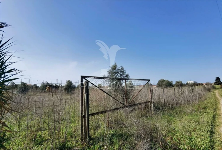 Terreno para Venda em Romeira e Várzea Foto 3