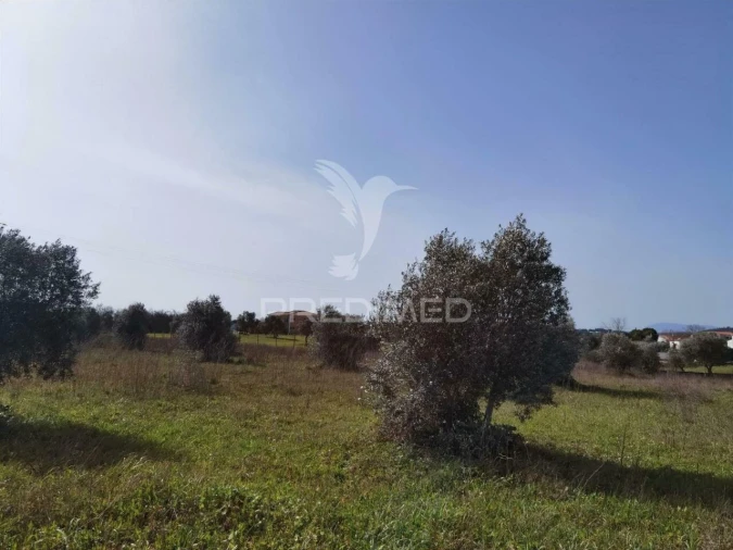 Terreno para Venda em Romeira e Várzea Foto 18