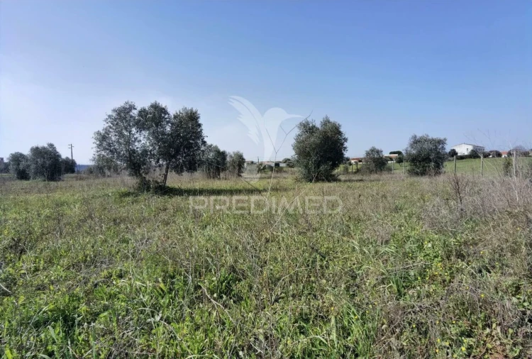 Terreno para Venda em Romeira e Várzea Foto 15