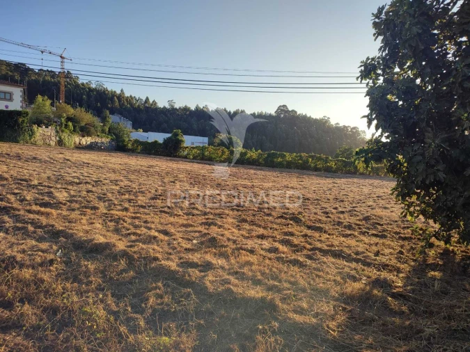 Terreno para Venda em Duas Igrejas Foto 1