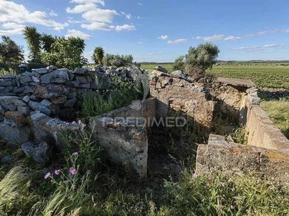 Quinta T2 para Venda em Reguengos de Monsaraz Foto 18