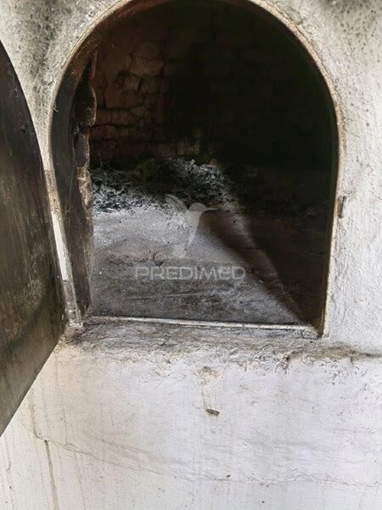 Quinta T2 para Venda em Reguengos de Monsaraz Foto 19