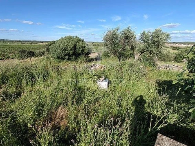 Quinta T2 para Venda em Reguengos de Monsaraz Foto 28